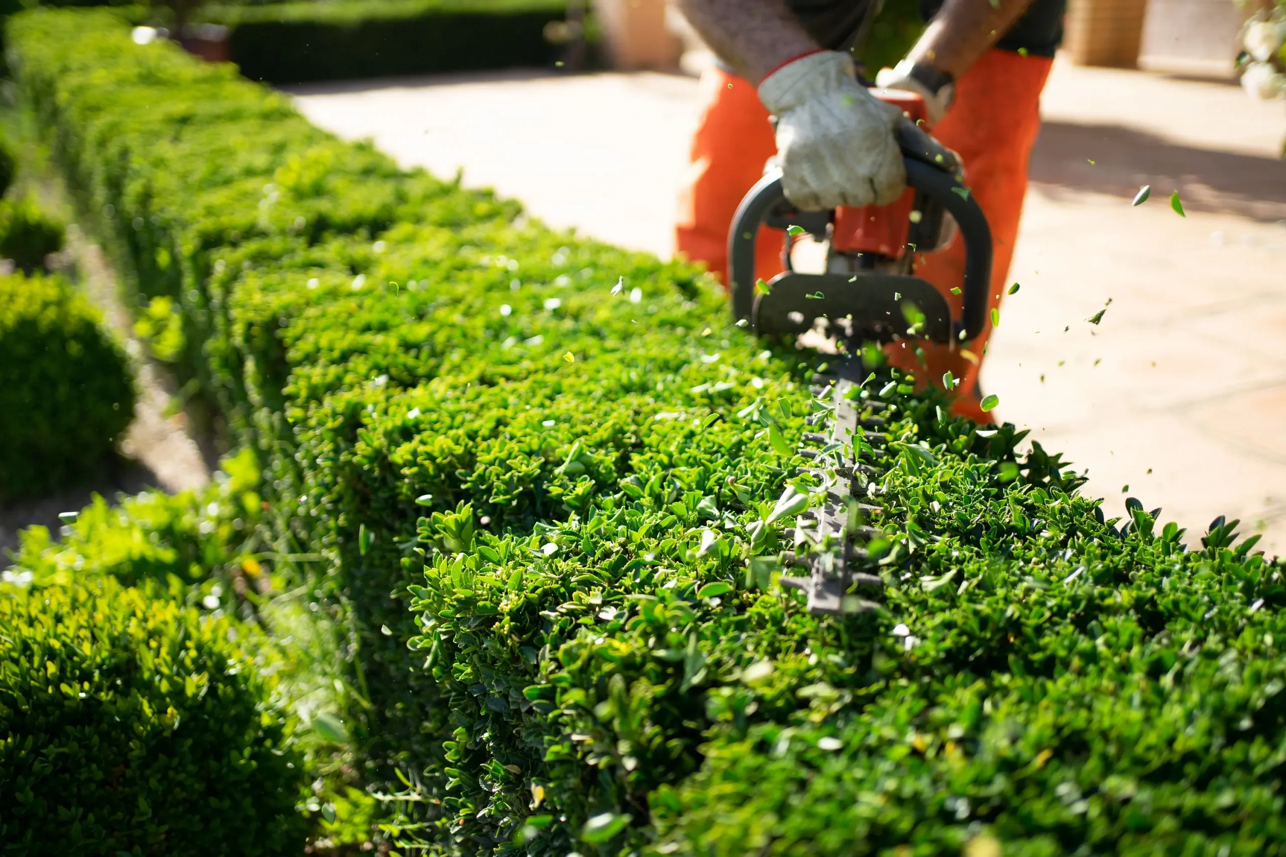 ca-hausbetreuung-gartendienst